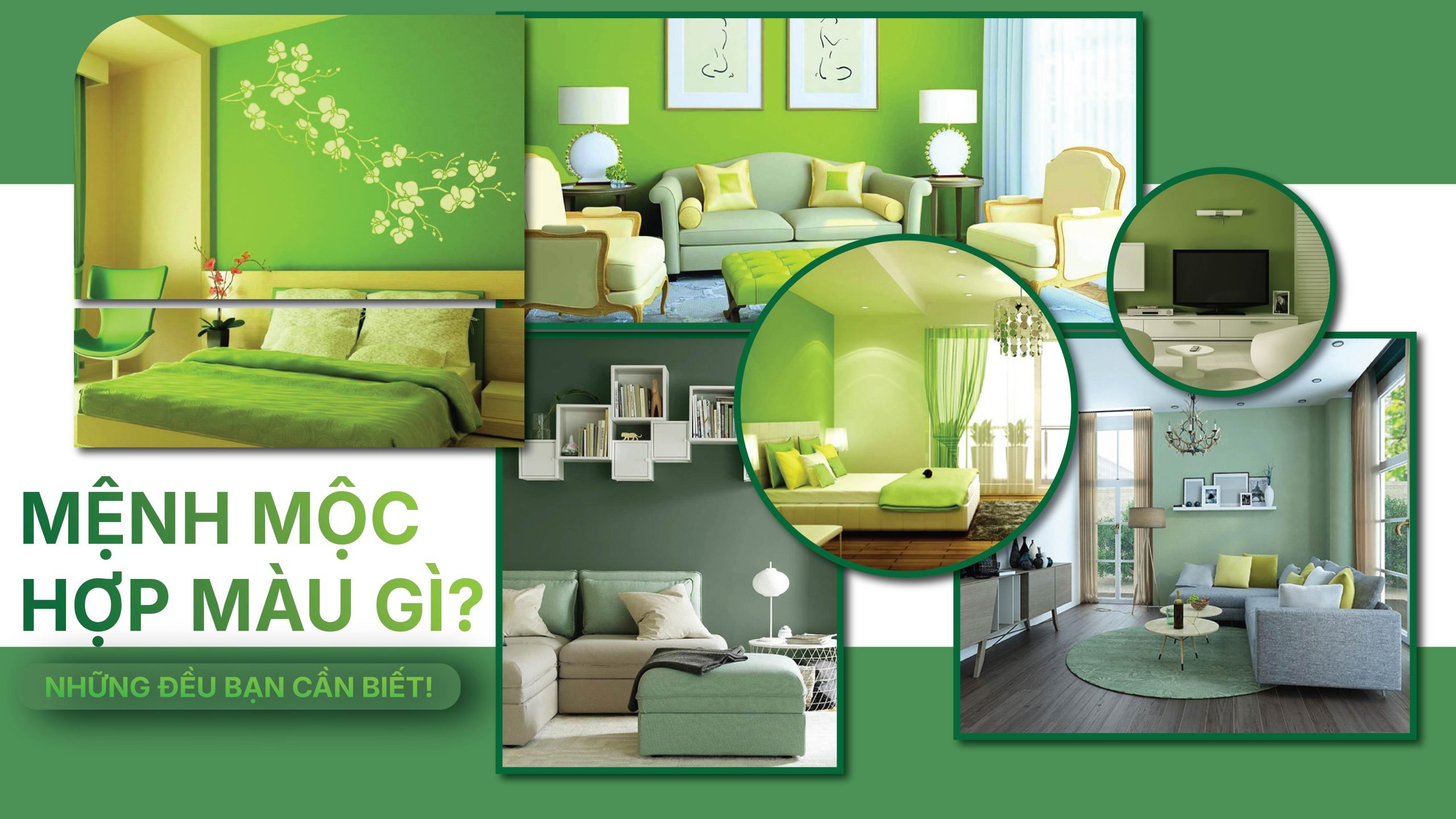 Mệnh mộc hợp màu gì
