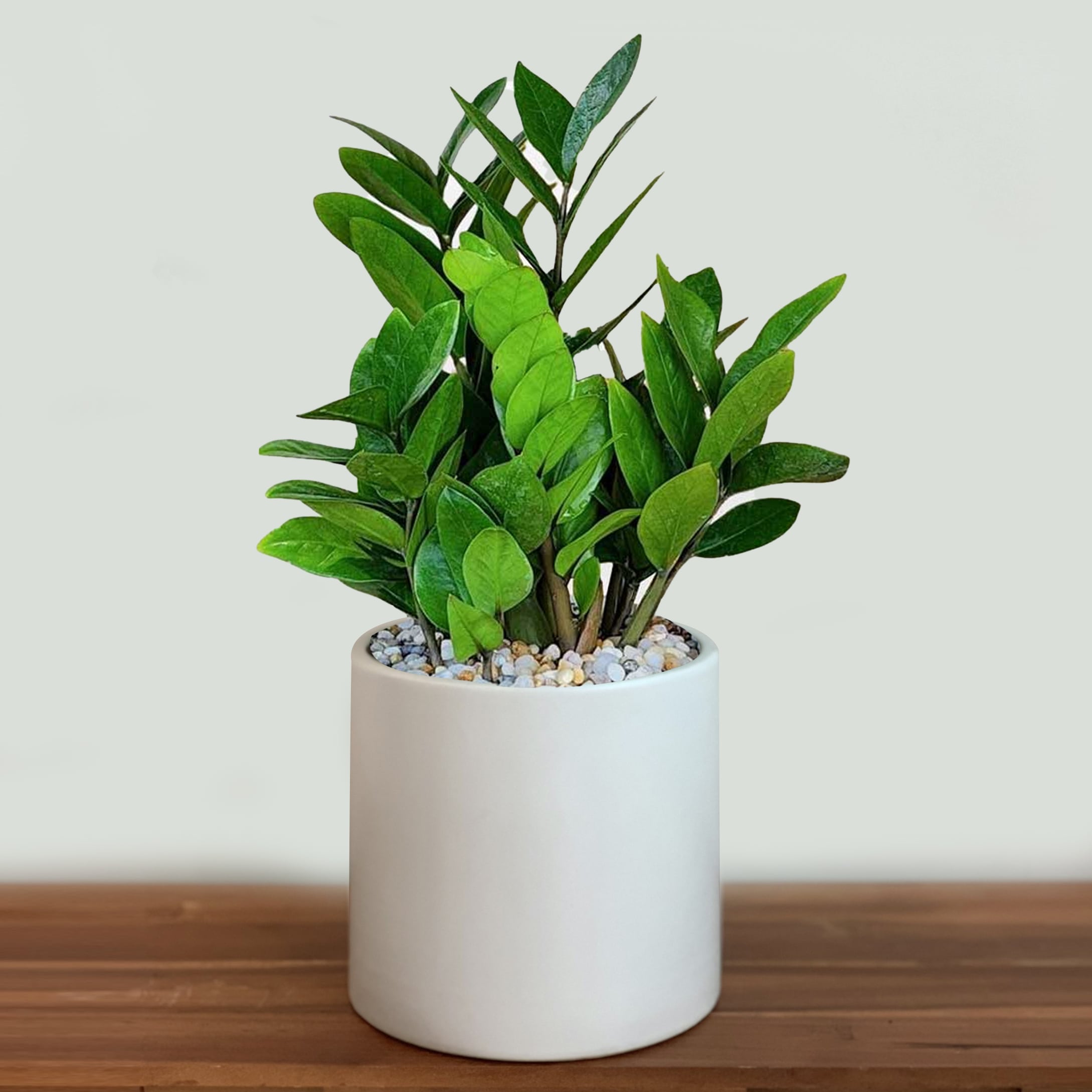 12 con giáp nên trồng cây gì